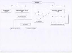Структура управления деятельностью Учреждения